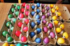 IMG-20200410-WA0015
